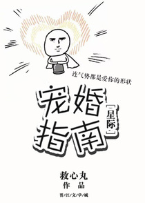 宠婚指南[星际]