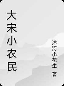 大宋小农民