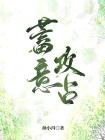蓄意攻占