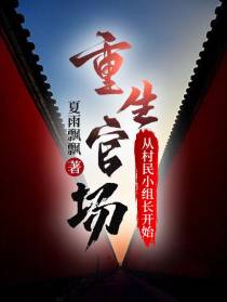 重生官场：从村民小组长开始