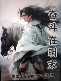 奋斗在明末,