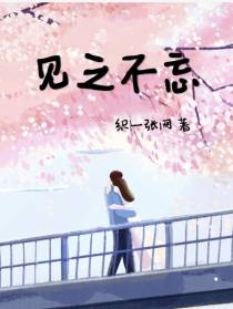 见之不忘