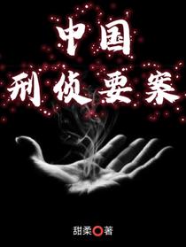 中国刑侦要案