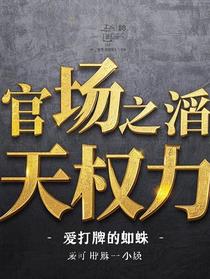 官场之滔天权力