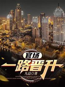 官场：一路晋升