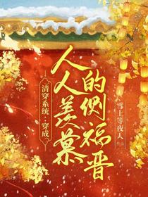 清穿系统：穿成人人羡慕的侧福晋